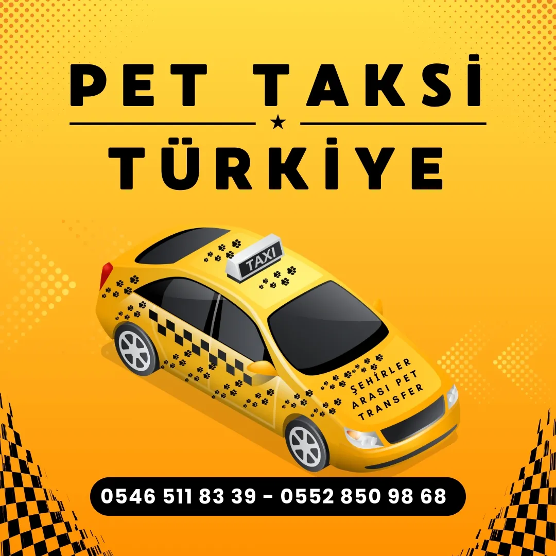 Acil Pet Taksi Hizmetleri – 7/24 Hızlı Destek