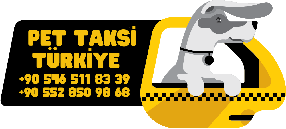 PET TAKSİ TÜRKİYE 